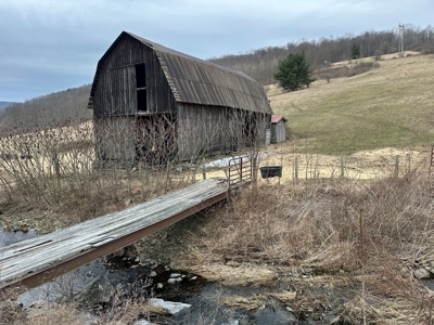 Log Home with Equine Barn and Arenas - image 32