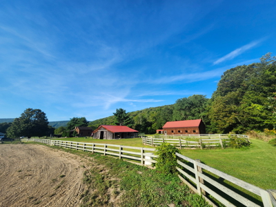 Log Home with Equine Barn and Arenas - image 46