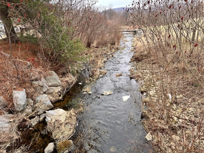 Log Home with Equine Barn and Arenas - image 34