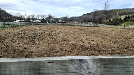 Log Home with Equine Barn and Arenas - image 29