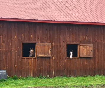 Log Home with Equine Barn and Arenas - image 40