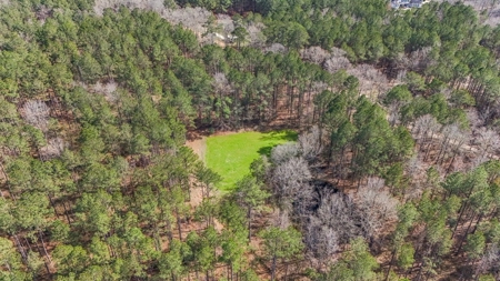 Amite County Hunting Land for Sale - image 12