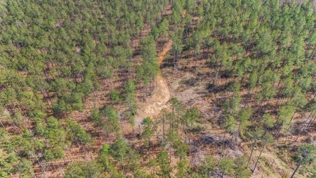 Amite County Hunting Land for Sale - image 11