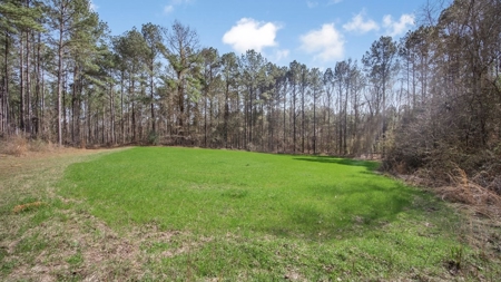 Amite County Hunting Land for Sale - image 10