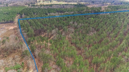 Amite County Hunting Land for Sale - image 18