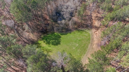 Amite County Hunting Land for Sale - image 13