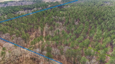 Amite County Hunting Land for Sale - image 14