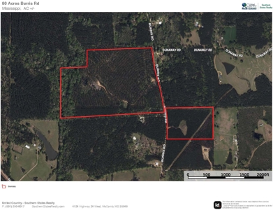 Amite County Hunting Land for Sale - image 27