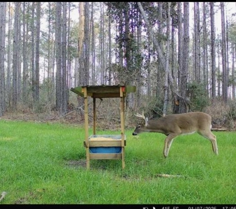 Amite County Hunting Land for Sale - image 24