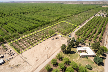 Income-Producing Pecan Orchard for Sale in Desirable Mesilla, NM - image 7