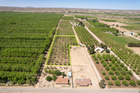 Income-Producing Pecan Orchard for Sale in Desirable Mesilla, NM - image 11