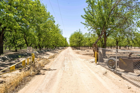 Income-Producing Pecan Orchard for Sale in Desirable Mesilla, NM - image 2