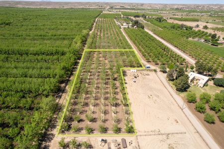 Income-Producing Pecan Orchard for Sale in Desirable Mesilla, NM - image 9
