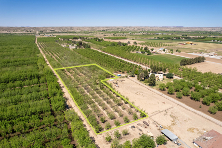 Income-Producing Pecan Orchard for Sale in Desirable Mesilla, NM - image 8