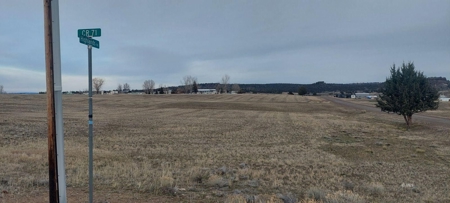Land For Sale in Alturas, California! - image 4