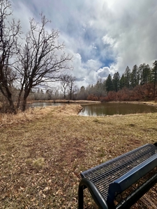 Land For Sale in Chama, New Mexico - image 5