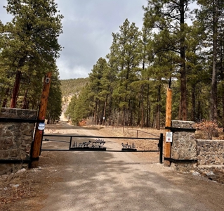 Land For Sale in Chama, New Mexico - image 1