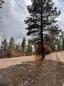 Land For Sale in Chama, New Mexico - image 3