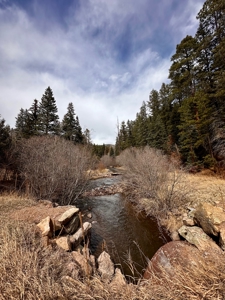 Land For Sale in Chama, New Mexico - image 7
