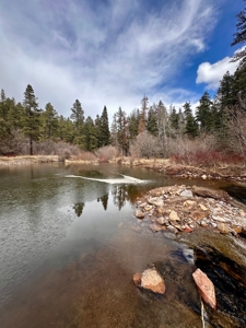 Land For Sale in Chama, New Mexico - image 6