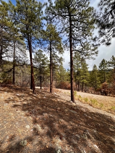 Land For Sale in Chama, New Mexico - image 9
