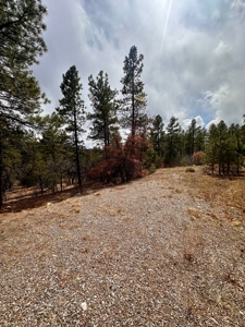 Land For Sale in Chama, New Mexico - image 4