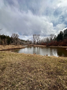 Land For Sale in Chama, New Mexico - image 2