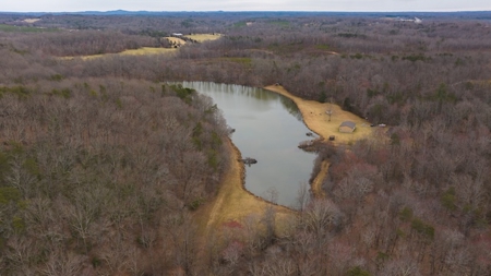 Large Land Tract and Pond for Sale in Stuart VA - image 18