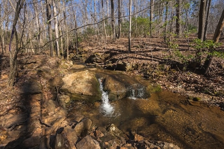 Large Land Tract and Pond for Sale in Stuart VA - image 6