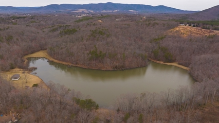 Large Land Tract and Pond for Sale in Stuart VA - image 21
