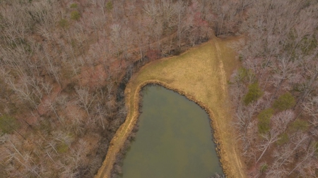 Large Land Tract and Pond for Sale in Stuart VA - image 22