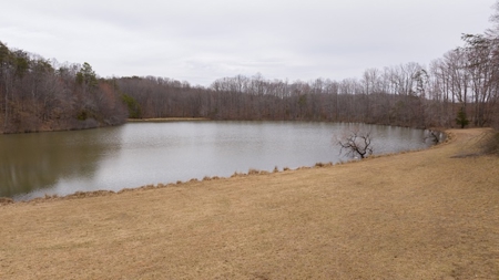 Large Land Tract and Pond for Sale in Stuart VA - image 4