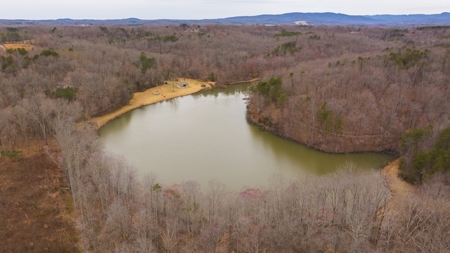 Large Land Tract and Pond for Sale in Stuart VA - image 17