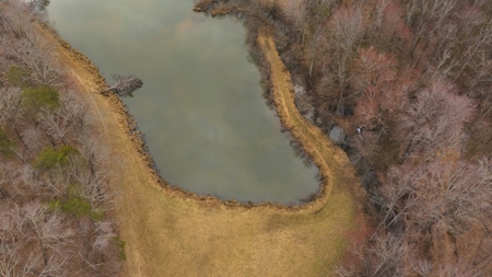Large Land Tract and Pond for Sale in Stuart VA - image 19