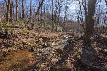 Large Land Tract and Pond for Sale in Stuart VA - image 5