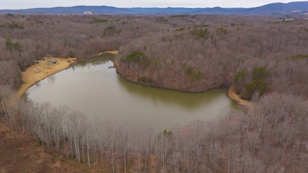 Large Land Tract and Pond for Sale in Stuart VA - image 20