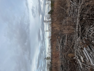 Hunting, Recreation and Residential Land South Carolina For Sale - image 12