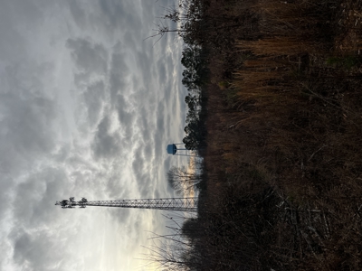 Hunting, Recreation and Residential Land South Carolina For Sale - image 2