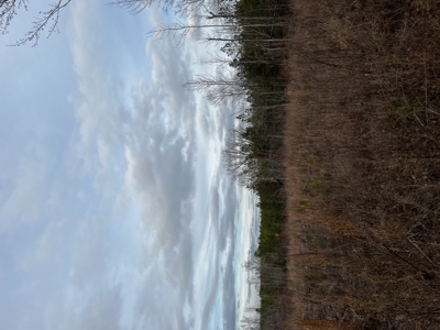 Hunting, Recreation and Residential Land South Carolina For Sale - image 9