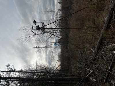 Hunting, Recreation and Residential Land South Carolina For Sale - image 9