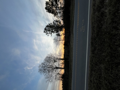 Hunting, Recreation and Residential Land South Carolina For Sale - image 6