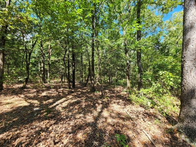 Kiamichi Mountain Homestead Property - image 19