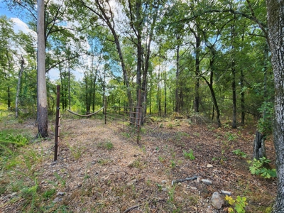 Kiamichi Mountain Homestead Property - image 25