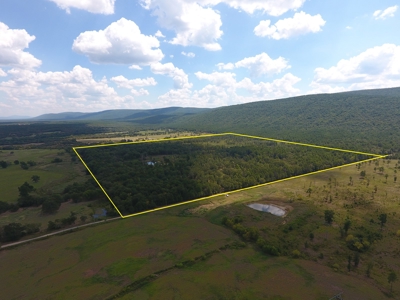 Kiamichi Mountain Homestead Property - image 27