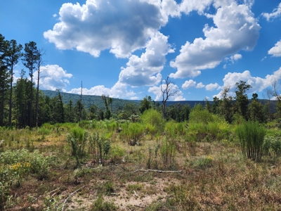 Kiamichi Mountain Homestead Property - image 11