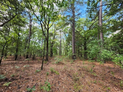 Kiamichi Mountain Homestead Property - image 5