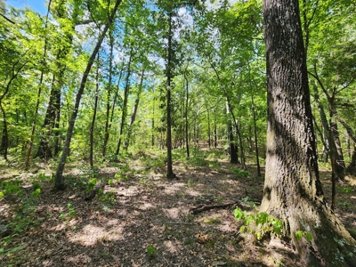 Kiamichi Mountain Homestead Property - image 7