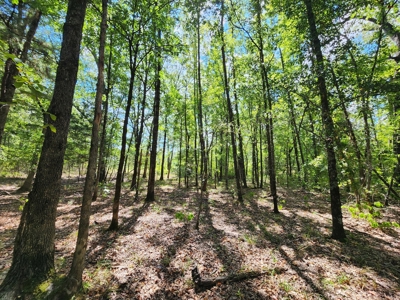 Kiamichi Mountain Homestead Property - image 8