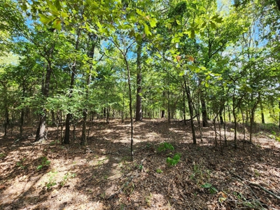 Kiamichi Mountain Homestead Property - image 14