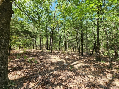 Kiamichi Mountain Homestead Property - image 18